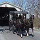 Amish Buggy & Covered Bridge in Lancaster, PA