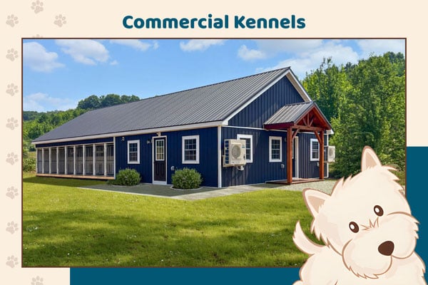 The Dog Kennel Collection Image For Lancasterpa.com Fern And Fountain Wedding Photography - Lancaster, Pa