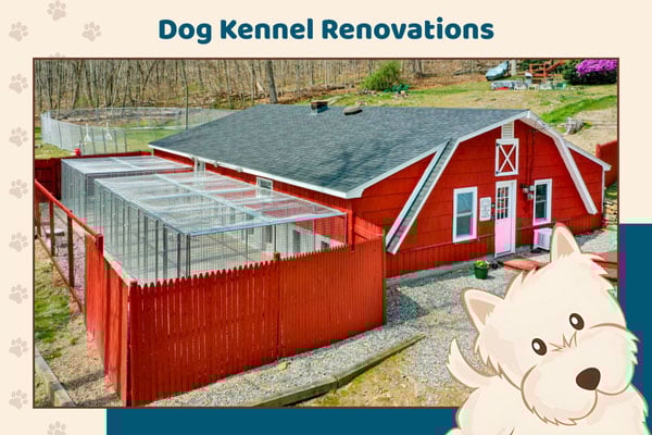 The Dog Kennel Collection Image For Lancasterpa.com Fern And Fountain Wedding Photography - Lancaster, Pa