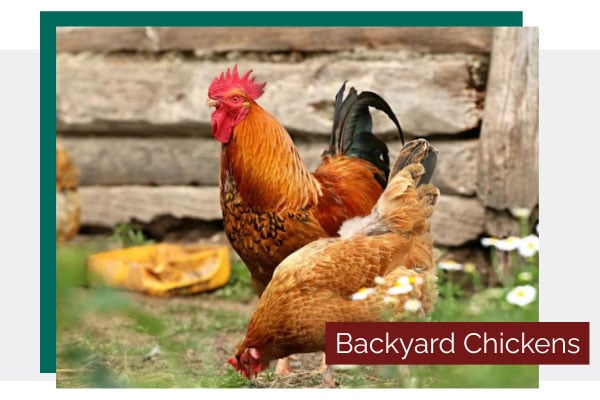 Sun Hill Barns Image For Lancasterpa.com Fern And Fountain Wedding Photography - Lancaster, Pa