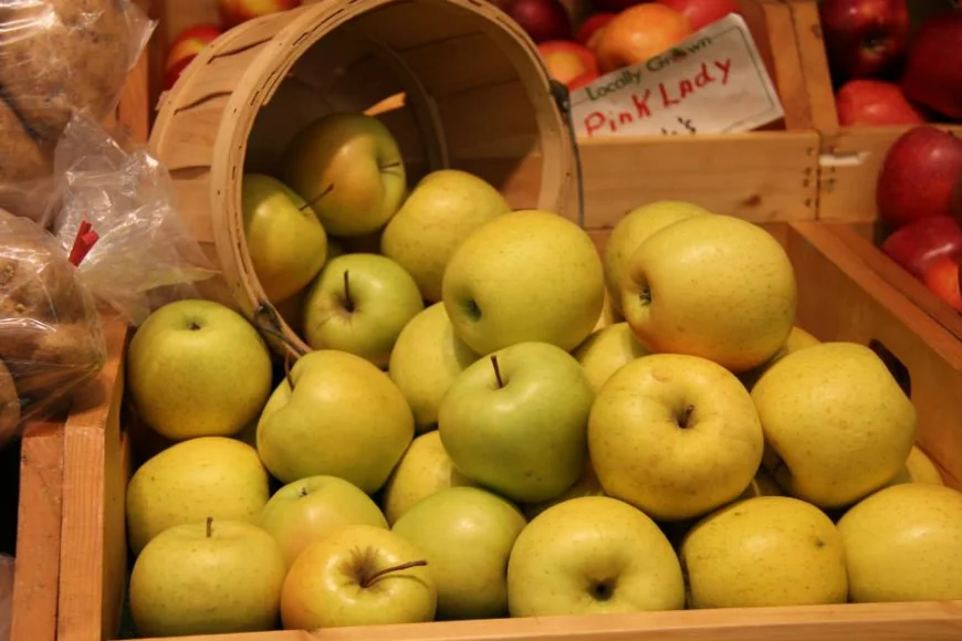Basket of Golden Delicious apples spilling out at Bird-in-Hand Farmers Market in Lancaster PA