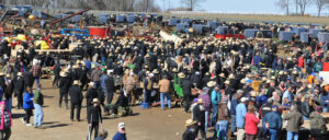 Gordonville Mud Sale