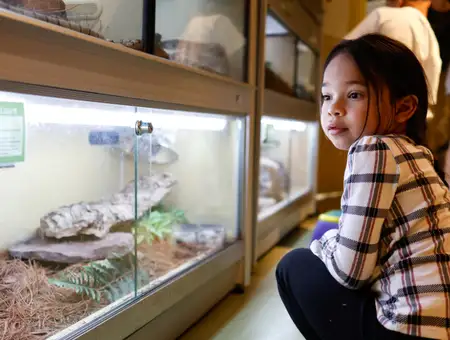 Young child exploring the live animal room reptile tanks at North Museum in Lancaster PA