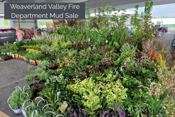 Weaverland Valley Mud Sale - New Holland, PA