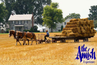 Amish Experience Visit-in-Person Tour
