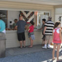 Lil' Country Store & Miniature Horse Farm