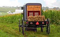 Amish Village Coupon – Lancaster County PA | Coupons | LancasterPA.com