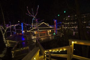 Refreshing-Mountain-Christmas-Lights-2