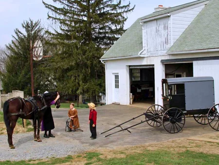 Children and a horse-drawn buggy outside a farm building, advertising Amish Farm Stay accommodations