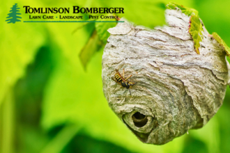 Tomlinson Bomberger Pest Control Services
