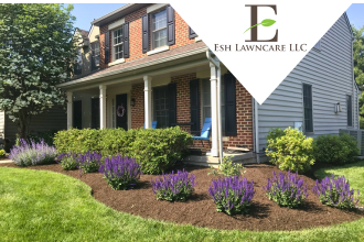 Esh Lawncare