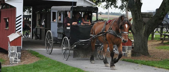 Things To Do In Lancaster, Pa With Kids - Amish Buggy Rides