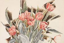 The Demuth Museum - Lancaster City