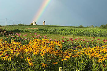 Eby Farm Bed And Breakfast - Gordonville, Pa