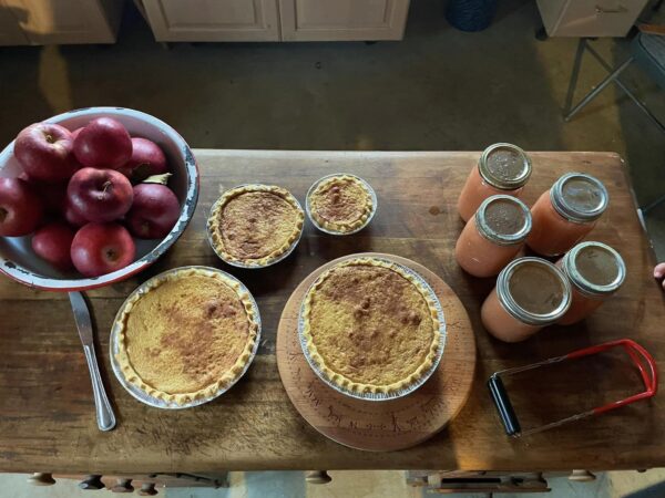 An Image Representing Farmhouse Christmas Experience In Lancaster County, Pa