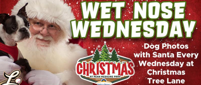 Lancaster Stormers - Clipper Magazine Stadium -Lancaster City, PA