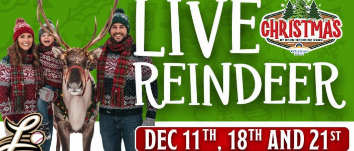 Lancaster Stormers - Clipper Magazine Stadium -Lancaster City, PA