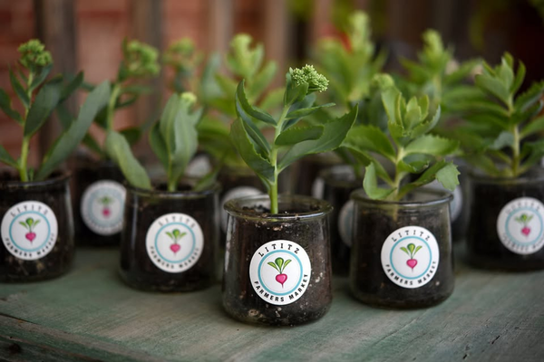 LItitz Farmers Market - Lititz, PA