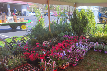 An Image Representing Annual April Events In Lancaster County, Pa In Lancaster County, Pa
