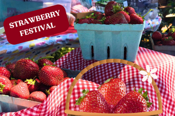 Amish Farm & House - Event: Strawberry Festival - Lancaster, PA