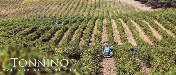 Tonnino Winery - Lancaster City, Pa