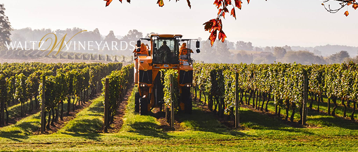 Waltz Vineyards - Manheim, Pa