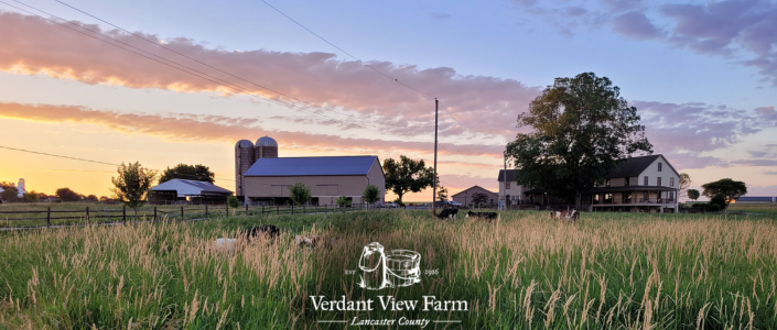 Verdant View Farm - Paradise, Pa