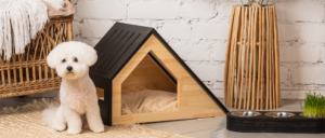 Keystone Puppies - Lancaster County, PA