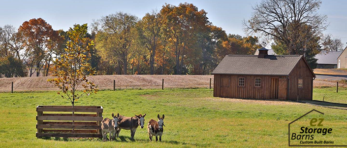 Ez Storage Barns 