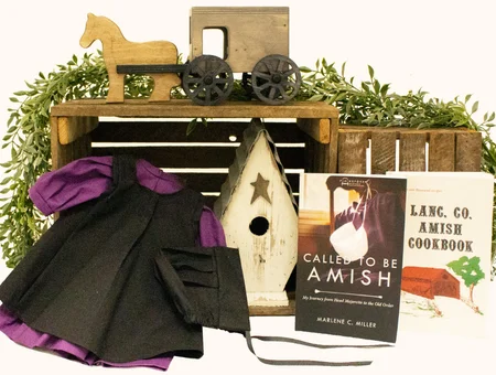 Amish dress wooden toys birdhouse and Lancaster County Amish cookbook at Good's Store Lancaster PA