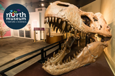 North Museum