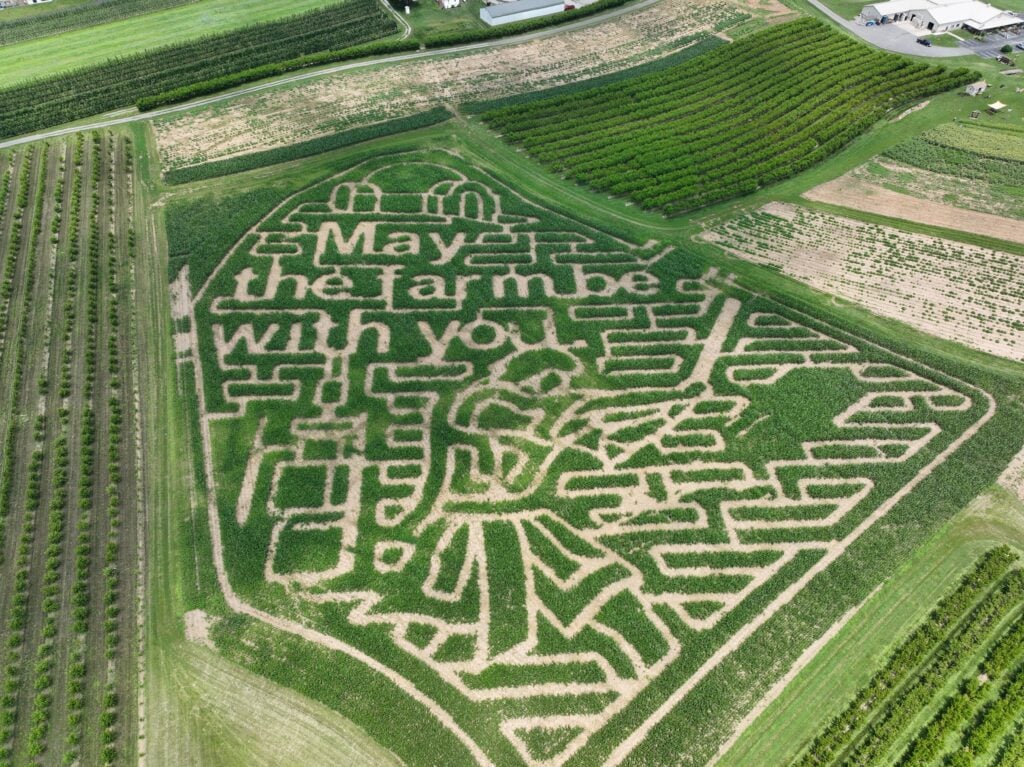 An Image Representing 2025 Corn Maze:  May The Farm Be With You At Flinchbaugh'S Orchard In Lancaster County, Pa