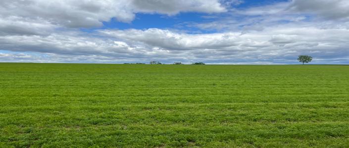 Lpa Farm
