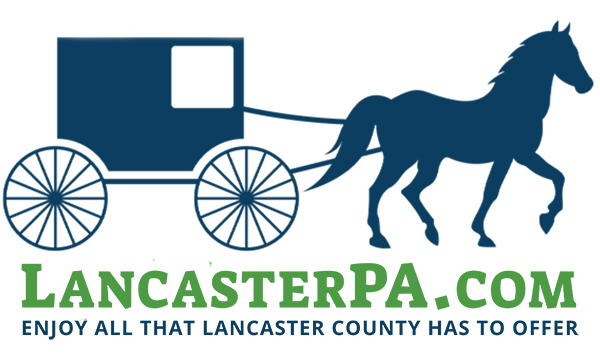 An Image Representing Lancasterpa.com Testimonials In Lancaster County, Pa