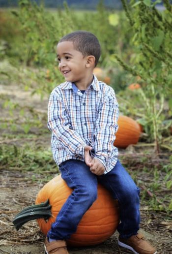 U-Pick Pumpkin Patch Flinchbaughs Orchard Farm Market