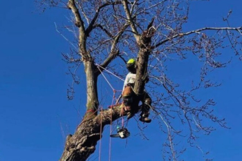 Dwd Landscaping &Amp; Services - Lancaster, Pa