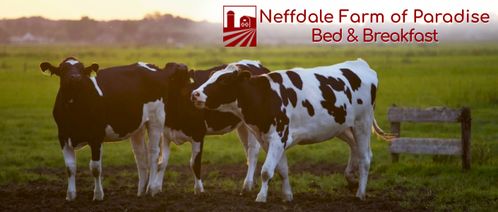 Neffdale Farm - Paradise, Pa