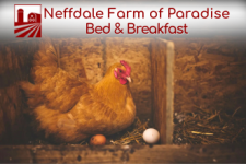 Neffdale Farm of Paradise
