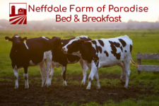 Neffdale Farm of Paradise