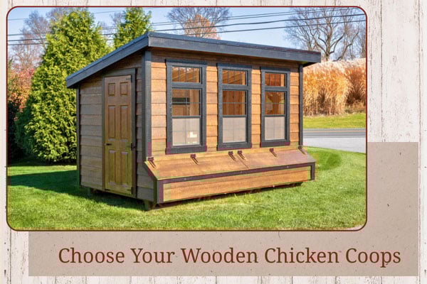 Fern And Fountain Wedding Photography - Lancaster, Pa