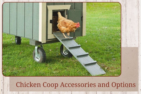 Fern And Fountain Wedding Photography - Lancaster, Pa