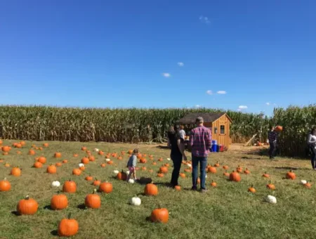 Fall Family Fun at Oregon Dairy Farmstead - Lancaster, PA
