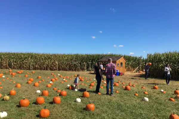 Fall Family Fun at Oregon Dairy Farmstead - Lancaster, PA