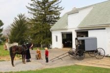 Amish Farm Stay – Stay on an Amish Farm