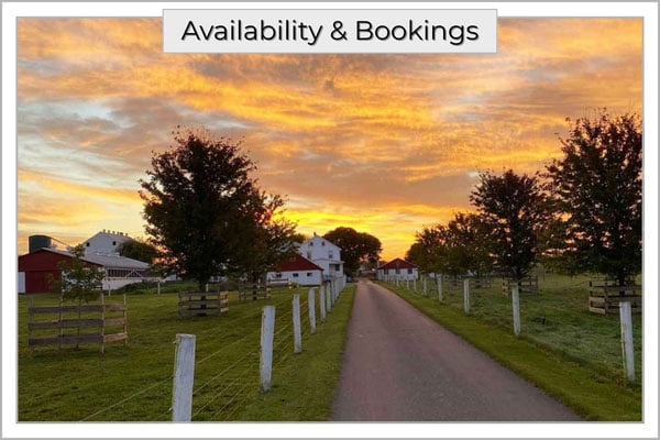 Fern And Fountain Wedding Photography - Lancaster, Pa