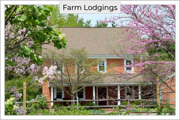 Fern And Fountain Wedding Photography - Lancaster, Pa