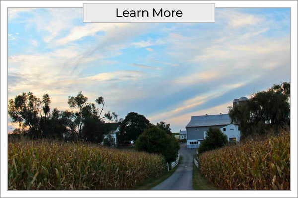Fern And Fountain Wedding Photography - Lancaster, Pa