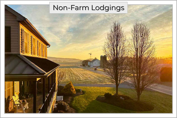 Fern And Fountain Wedding Photography - Lancaster, Pa