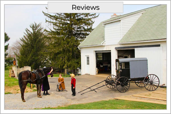 Fern And Fountain Wedding Photography - Lancaster, Pa