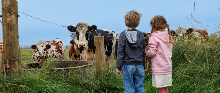 Farm Bread & Breakfast - Lancaster County, PA